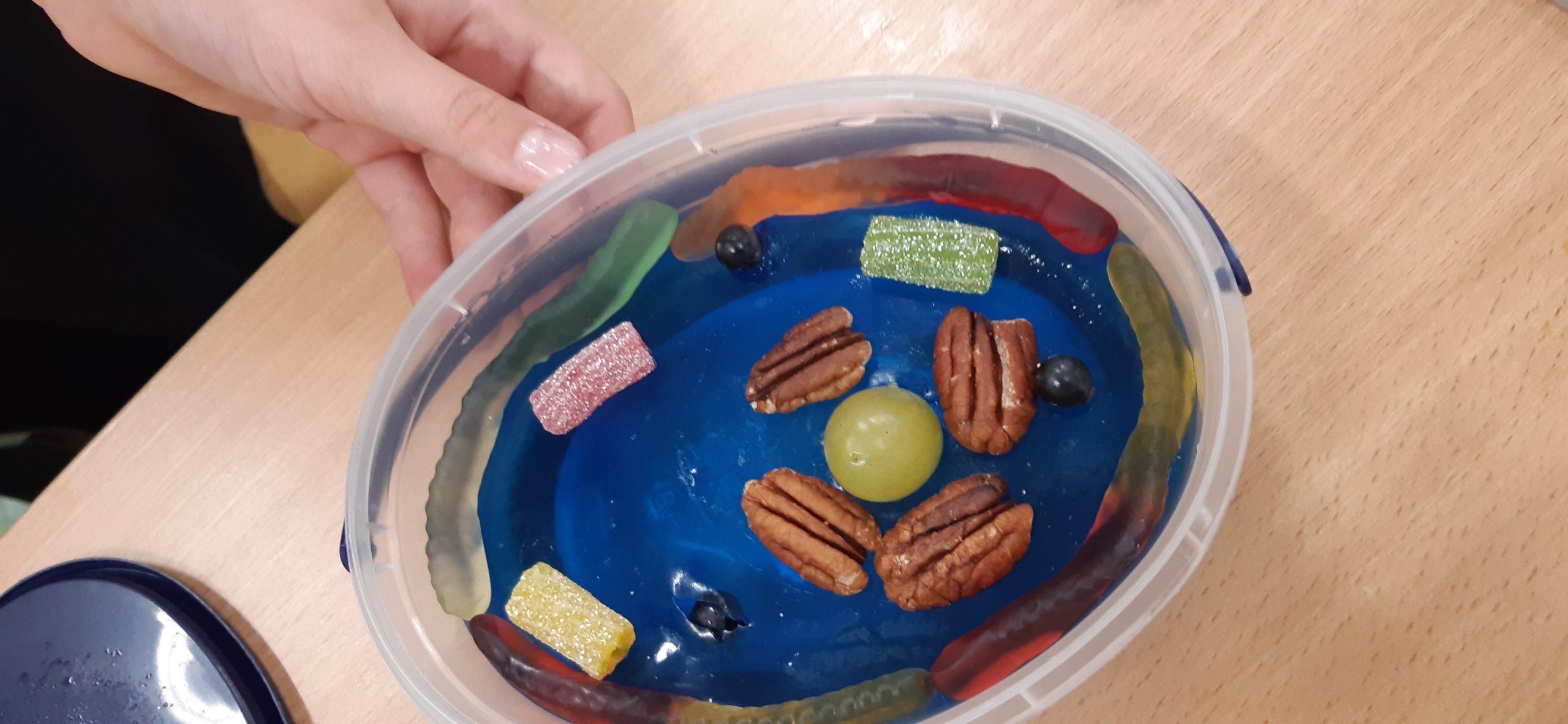 Miseczka z produktami spożywczymi imitującymi elementy komórki.