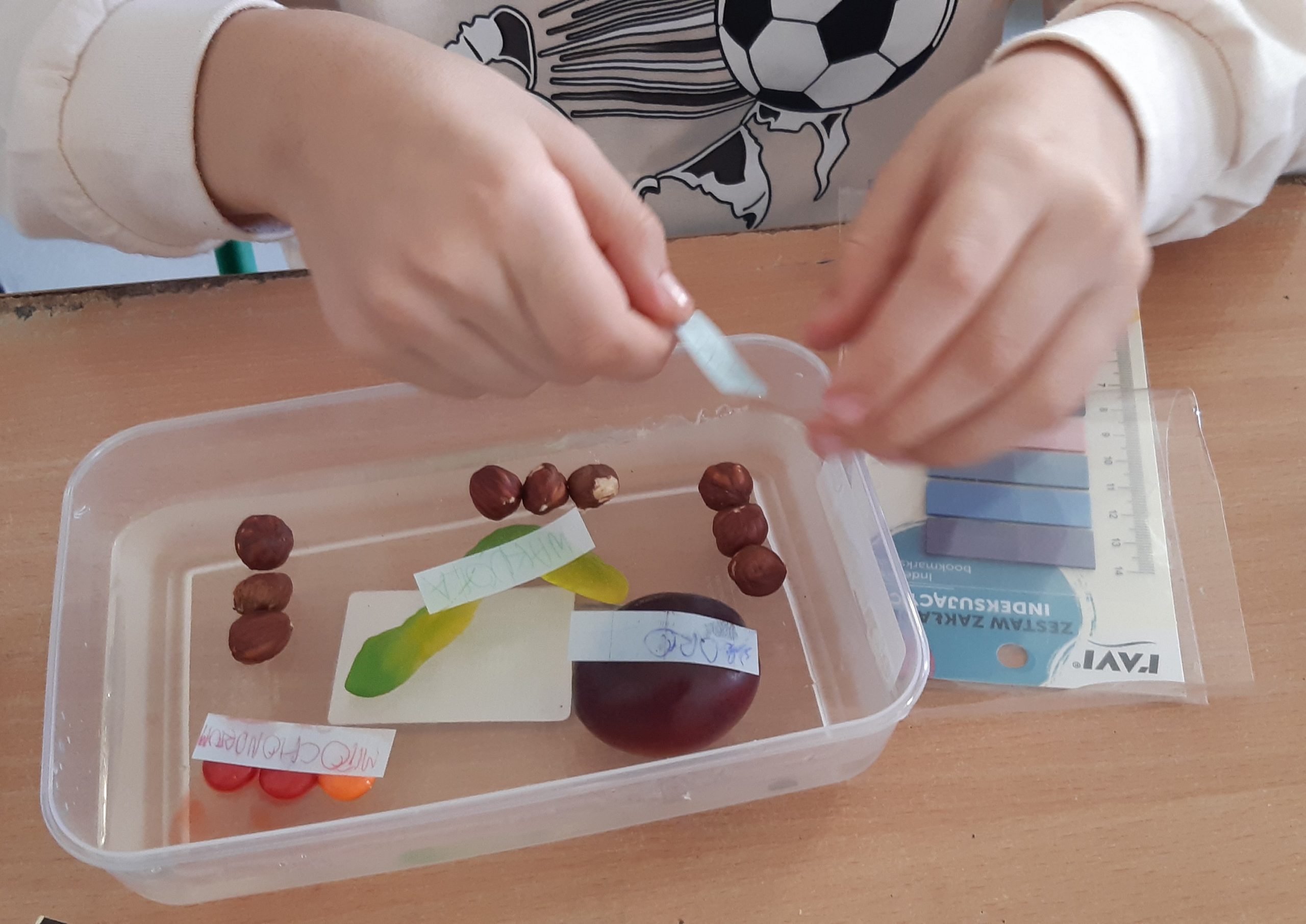 Miseczka z produktami spożywczymi imitującymi elementy komórki.