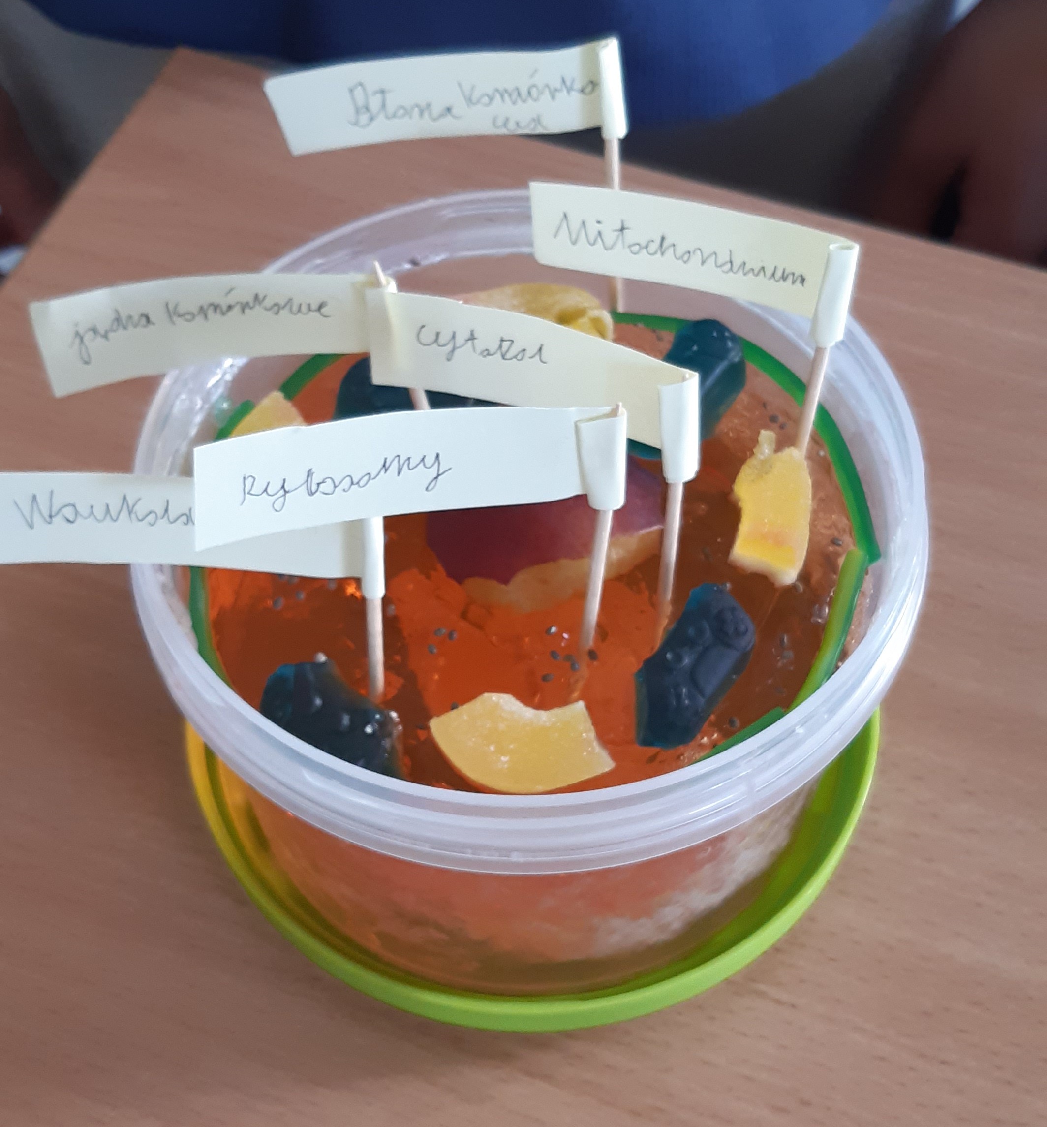 Miseczka z produktami spożywczymi imitującymi elementy komórki.