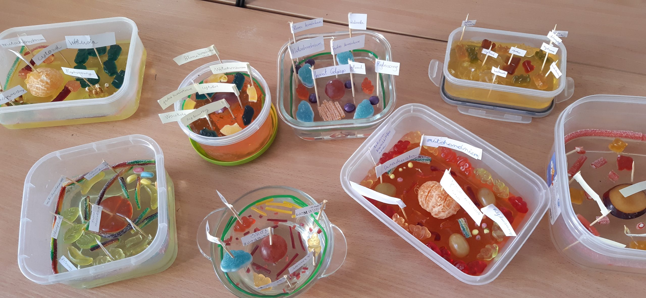 Miseczka z produktami spożywczymi imitującymi elementy komórki.