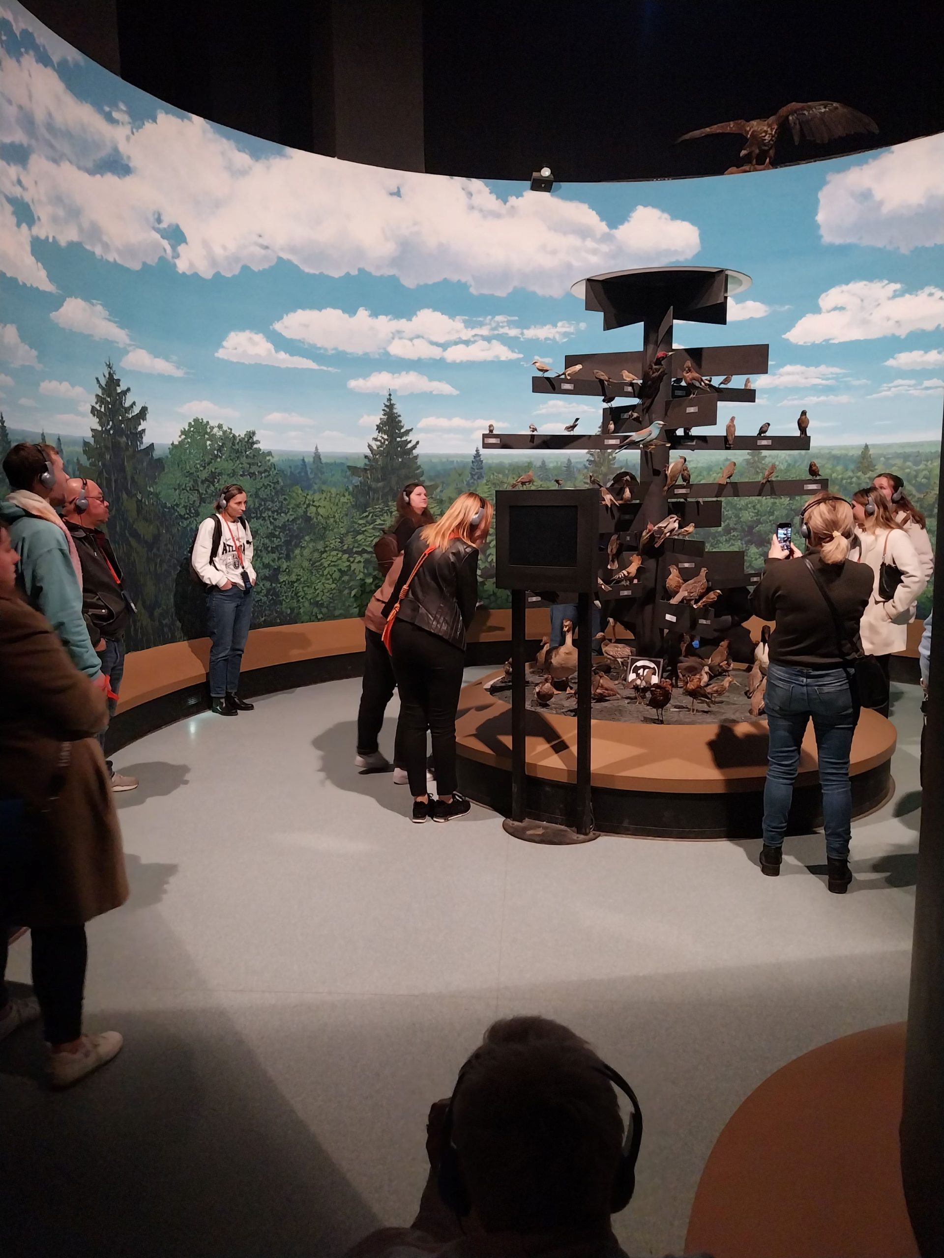 Zwiedzamy Muzeum Przyrodniczo-Leśne w Białowieży