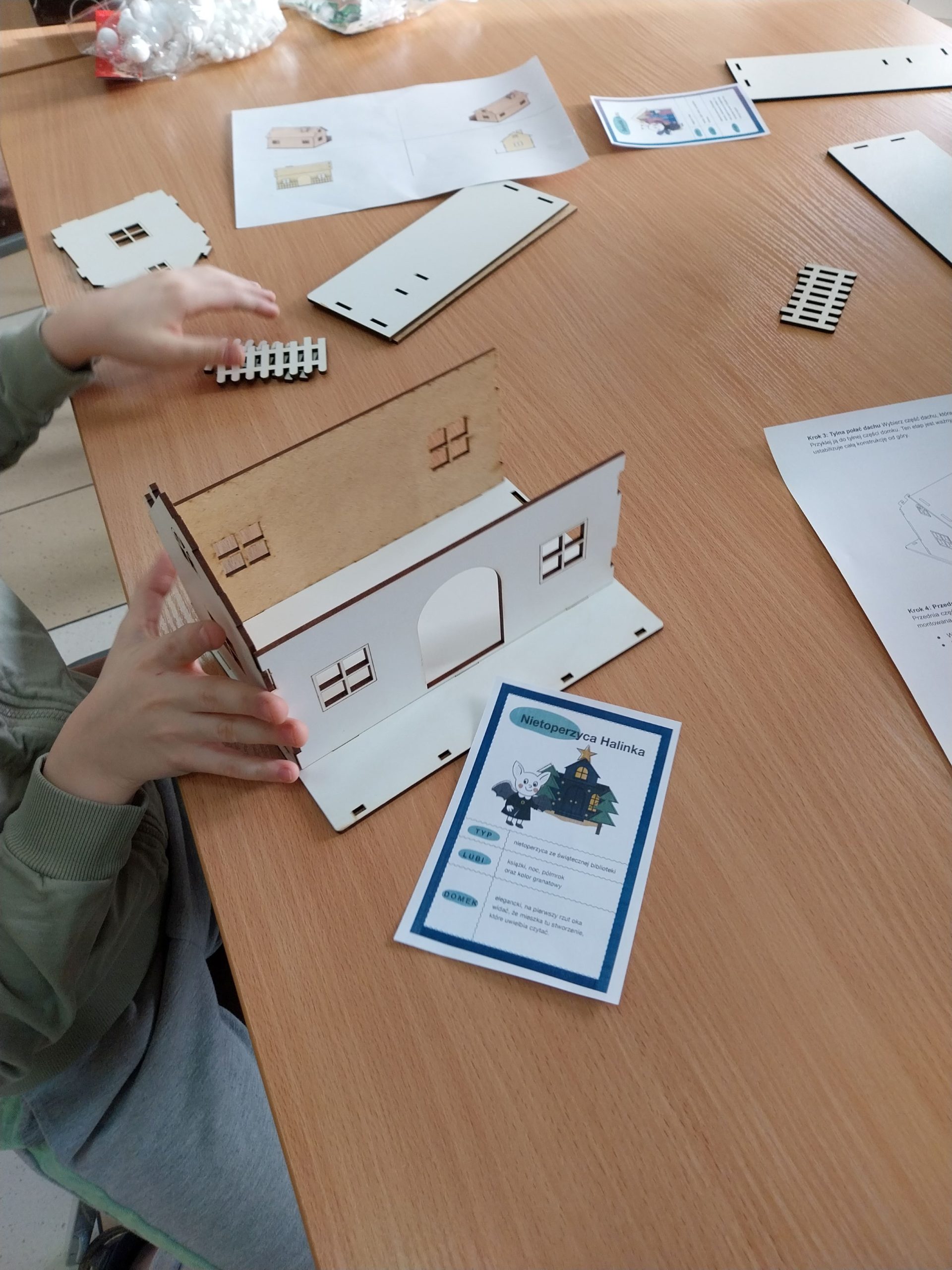 chłopak wznosi dom dla Nietoperzycy Halinki